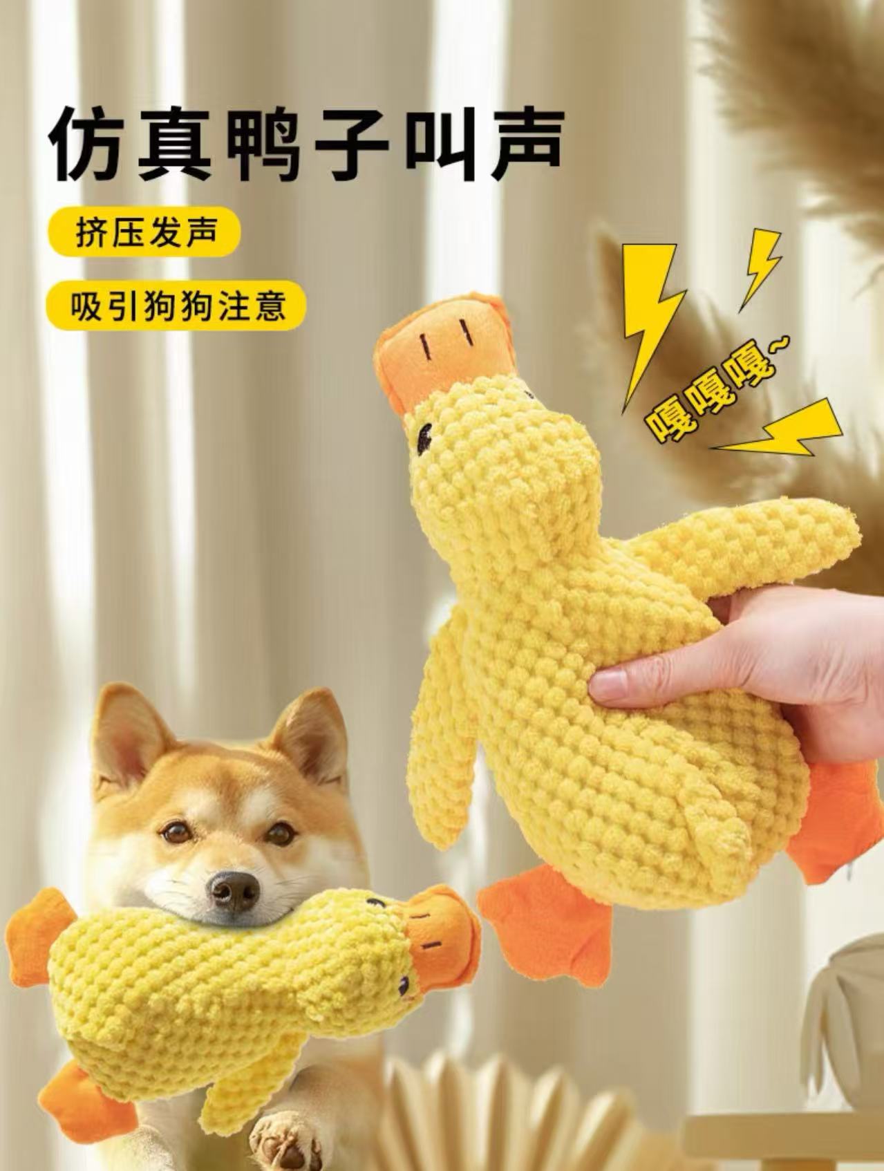 微信图片 20251022173244